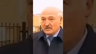 Лукашенко  разогнался на тракторе 280 км/ч.🤣 #Shorts