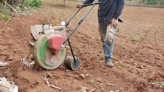 Plantando milho com plantadeira AG60