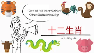 12 Chinese Zodiac/ Animal Signs (十二生肖) | Learn Chinese Online在线学习中文 | 鼠牛虎兔龙蛇马 羊猴鸡狗猪