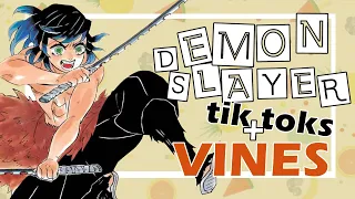 Kimetsu no Yaiba / Demon Slayer Vines/Tik Toks