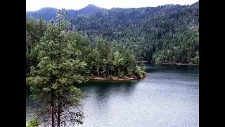 Young Woman Watches Little Bigfoot Scavenge For Food Near Applegate Lake, Oregon...