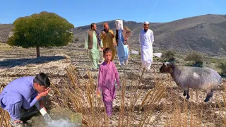 Natural Life in Quetta Village | Pakistani Village Life | Nomadic Village Life | Village Routine