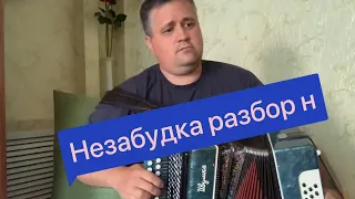 Незабудка // Разбор песни