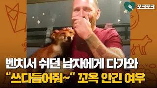 벤치서 쉬고 있다가 야생 여우에게 간택된 남성