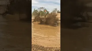 First Edition Bronco VS Mud