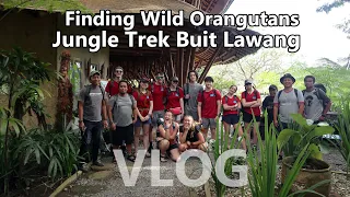 Jungle Trek Bukit Lawang Sumatra - Vlog