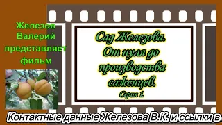 Сад Железова.  От нуля до производства саженцев.  Серия 1.