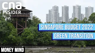 Will Carbon Tax Rise Be Enough To Hit Singapore’s Green Goals? | Money Mind | Budget 2022