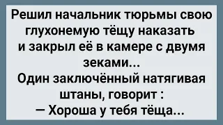 Как Начальник Тюрьмы Глухонемую Тещу Наказал! Сборник Свежих Анекдотов! Юмор!