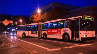 CT Transit's MCI D4500CTs & The Bee-Line System's Neoplan AN-460A Transliner Articulateds