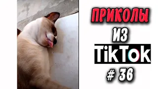 ПРИКОЛЫ ИЗ ТИК ТОК #36 😎Лучшая подборка приколов 2020 ЧУДИКИ ИЗ ТИК ТОК