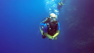 Scuba Diving @ Maldives February 2017 - Filitheyo Island Resort - Wallstreet - Nord Nilandhe Atoll