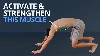 3 Top Exercises to Wake Up SERRATUS ANTERIOR (PLUS Anatomy Explained)