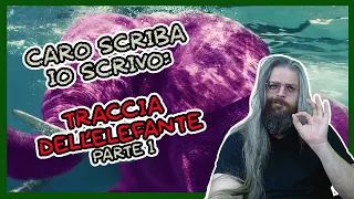 Bambole ed Elefanti Rosa - Caro Scriba, Io Scrivo | S1E7