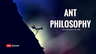 Jim Rohn - The Ant Philosophy (Jim Rohn Personal Development)