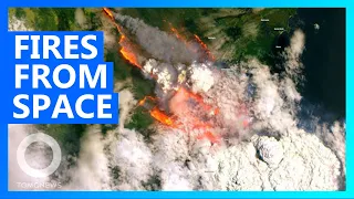 Australia's wildfires seen from space in dramatic footage - TomoNews