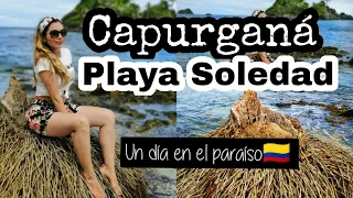 🌍PLAYA SOLEDAD en CAPURGANÁ | El increíble Bosque de Manglares 💃 Un día en el paraíso 👉