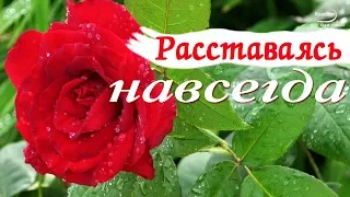 «РАССТАВАЯСЬ НАВСЕГДА»  🌹🍀 Розы после дождя и Очень красивая музыка без слов