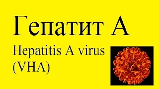 Вирусный гепатит А