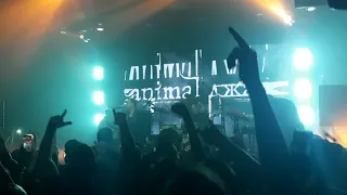 [Kazan!Live] Animal ДжаZ - Три полоски