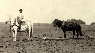 Крестьянство в 1920-30 годы. "СССР: первые 20 лет", часть 6