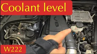 How to check coolant level | Antifreeze level check | W222 S550 | #repairjose