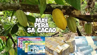 MAY PERA SA CACAO+SOME TIPS