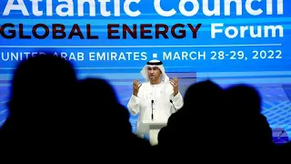 Climate activists alarmed after UAE appoints oil CEO as president of COP28