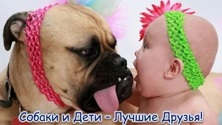 Best Of Funny Dogs Love Babies! Compilation [HD] # 1!