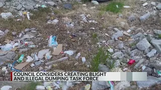 Memphis city council considers creating blight and illegal dumping task force