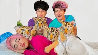 SURPRISING BESTFRIEND WITH BABY TIGERS!