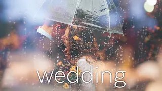 Wedding Music no copyright free download / mp3 Romantic Background Music for videos / Love Piano bgm