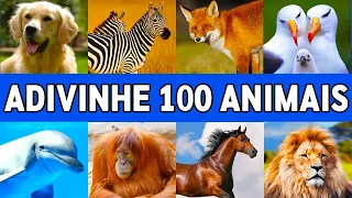 ADIVINHE 100 Animais em 10 minutos | Adivinhe o Animal #1 | Mestre Quiz
