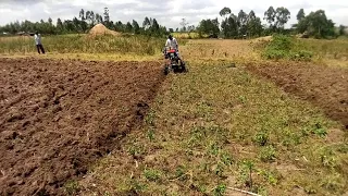 Ploughing using a walking tractor