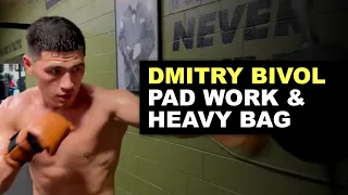 DMITRY BIVOL PAD WORK & HEAVY BAG 🥊