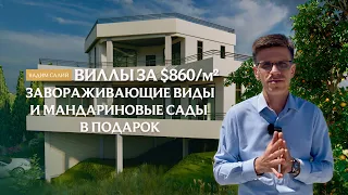 Виллы за $860/м2. Завораживающие виды и мандариновые сады в подарок