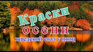 ВСЕ  КРАСКИ  ОСЕНИ,  ШВЕДСКИЙ СТОЛ  У  ПТИЦ,