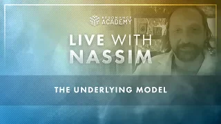 Nassim Haramein: The Underlying Model