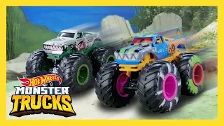 ¡Lo mejor de Hot Wheels Monster Trucks 2020! 🤩 | Hot Wheels Español