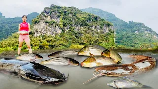 FULLVIDEOS  The best way to catch fish is by using a vacuum cleaner to cook and go to the market