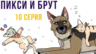 Пикси и Брут. 10 серия | Мемозг #357