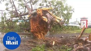 Deadly Fiji cyclone Winston leaves a trail of destruction - Daily Mail