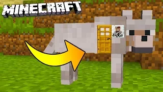 HOW TO LIVE INSIDE A WOLF IN MINECRAFT!