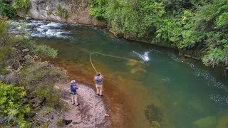 This River is Incredible, Big Fish Everywhere.