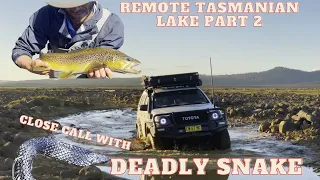 2/2- BIG BROWN TROUT CATCH! Close call with DEADLY SNAKE, Fly fishing remote lakes-Tasmania.4wd only