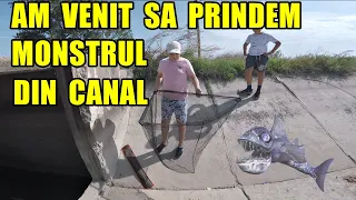 Am revenit la canal să pescuiesc și m-am găsit cu un grup de abonați care.. 😮😱