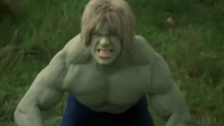 The Incredible Hulk Full Hulkout 1 Danny.