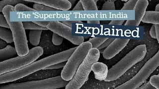 ‘Indian hospitals are full of Superbugs. They’re lying if they refute’