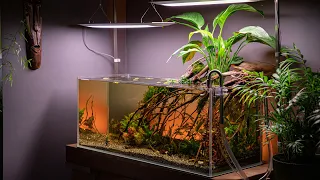 How I built a 160L aquarium INSTANTLY to RESCUE my friend’s ANGELFISH