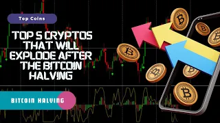 Today btc news | After bitcoin halving the crypto market will explode | expert interview #btc